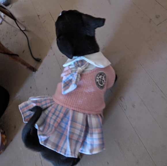 XSmall Dog Dress Preppy School Girl Anime Posh Prep - Picture 5 of 9